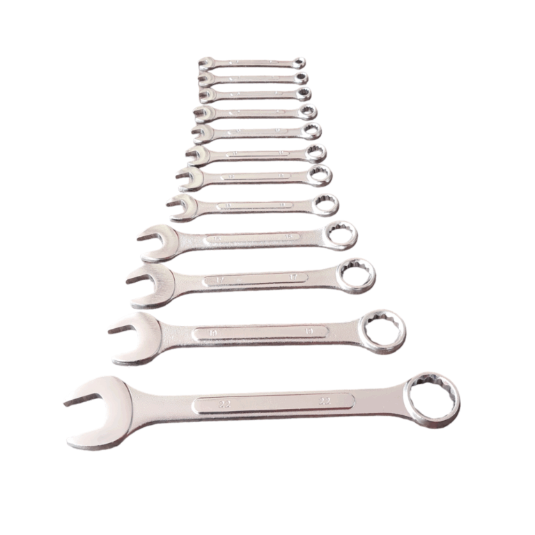 PROLINETECH Set kombinovanih ključeva 12kom 6-22mm PLT/SS-12